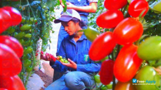Central National School of Agriculture (ENCA) thumbnail #3