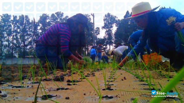 Photo de l’Central National School of Agriculture (ENCA) #3