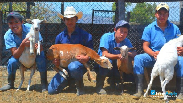 Photo de l’Central National School of Agriculture (ENCA) #4