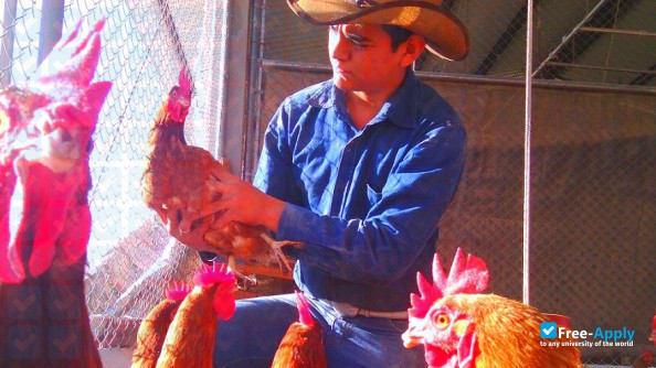 Photo de l’Central National School of Agriculture (ENCA) #9