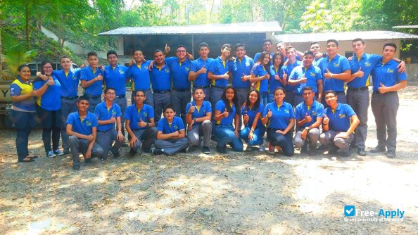 Technical Institute of Electrical and Electronics photo #3