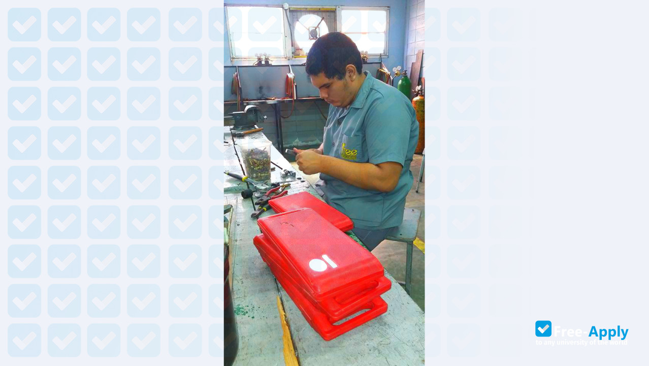 Technical Institute of Electrical and Electronics photo #15