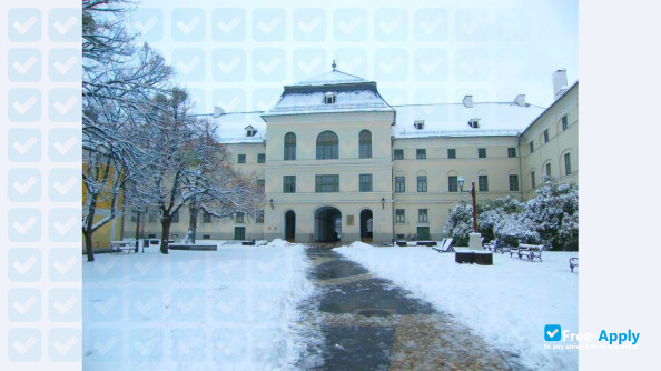 Sárospatak Theological Academy of the Reformed Church photo #4