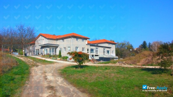 Photo de l’Sola Scriptura Theological College #6