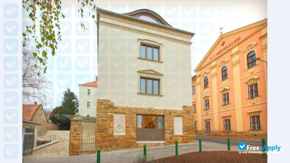 Foto de la Theological College of Pécs #12