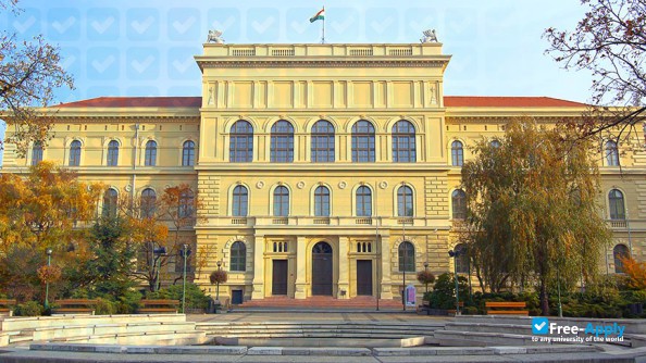 University of Szeged photo #9