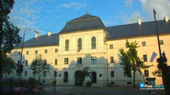 Foto de la Baptist Theological Academy #6