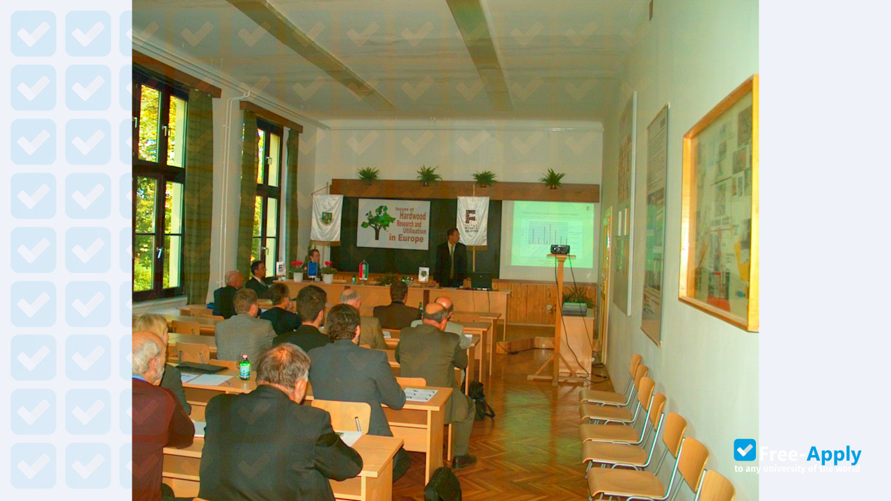 University of West Hungary photo #4