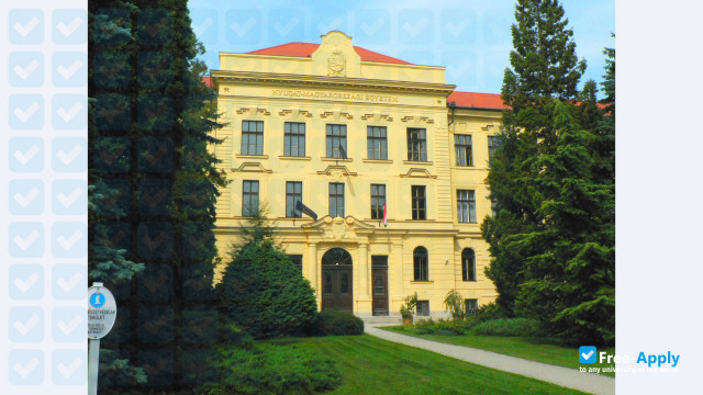 Фотография University of West Hungary