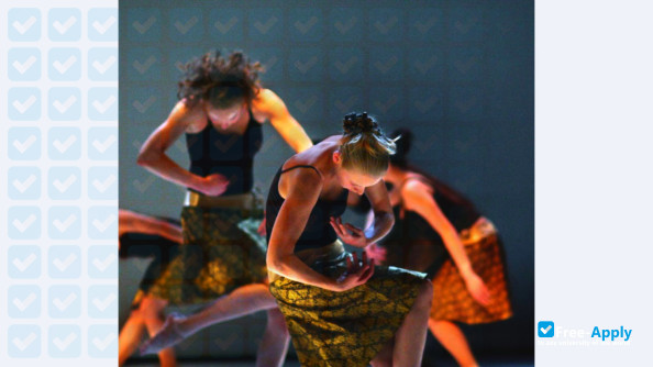 Budapest Contemporary Dance Academy photo #6