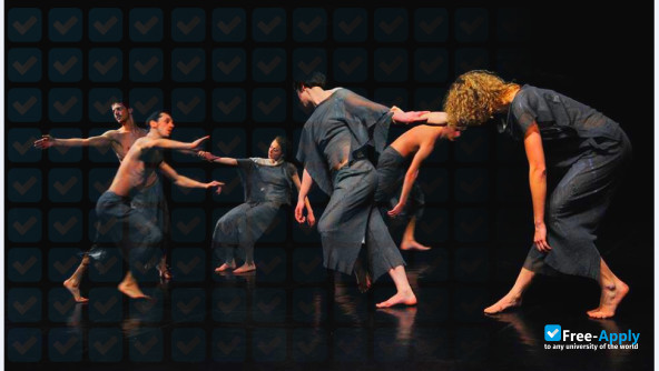 Budapest Contemporary Dance Academy photo #1