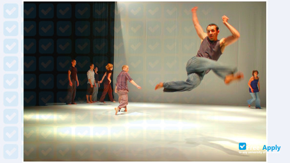 Budapest Contemporary Dance Academy photo #8