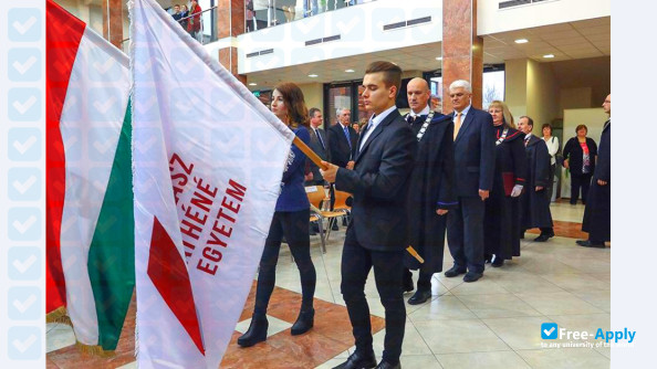 College of Szolnok photo #6