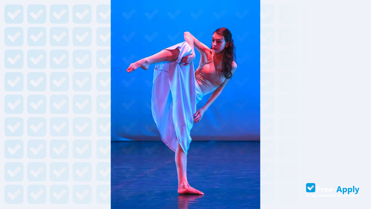 Фотография Hungarian Dance Academy