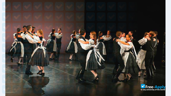 Hungarian Dance Academy фотография №5