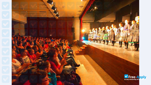 Hungarian Dance Academy фотография №10