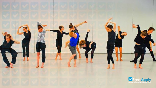 Hungarian Dance Academy фотография №6