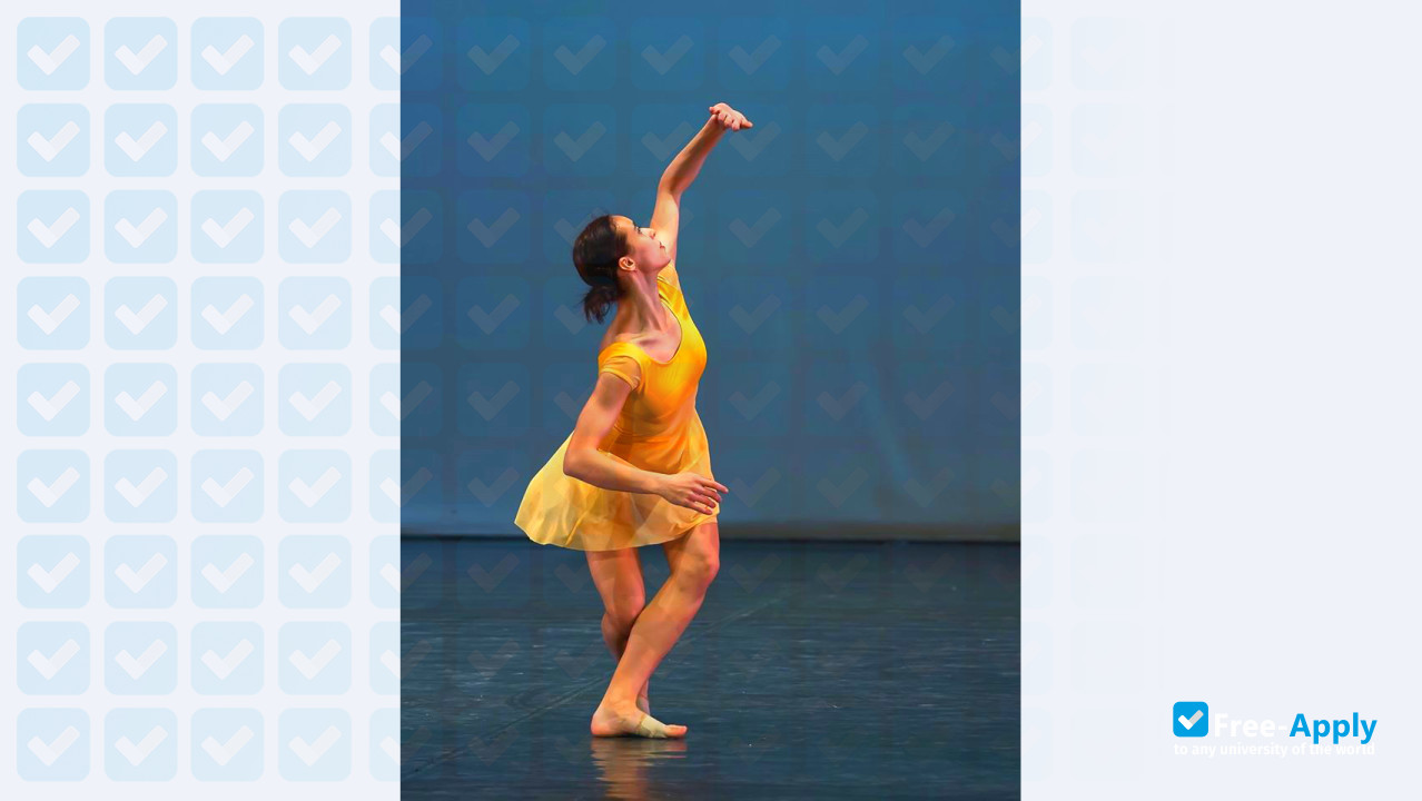 Hungarian Dance Academy фотография №11
