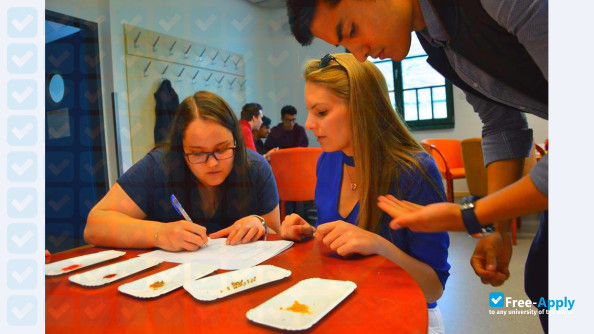 Foto de la International Business School #3