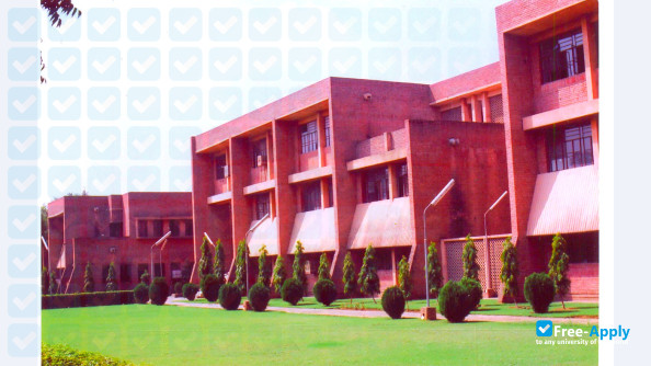 Jamia Hamdard фотография №2