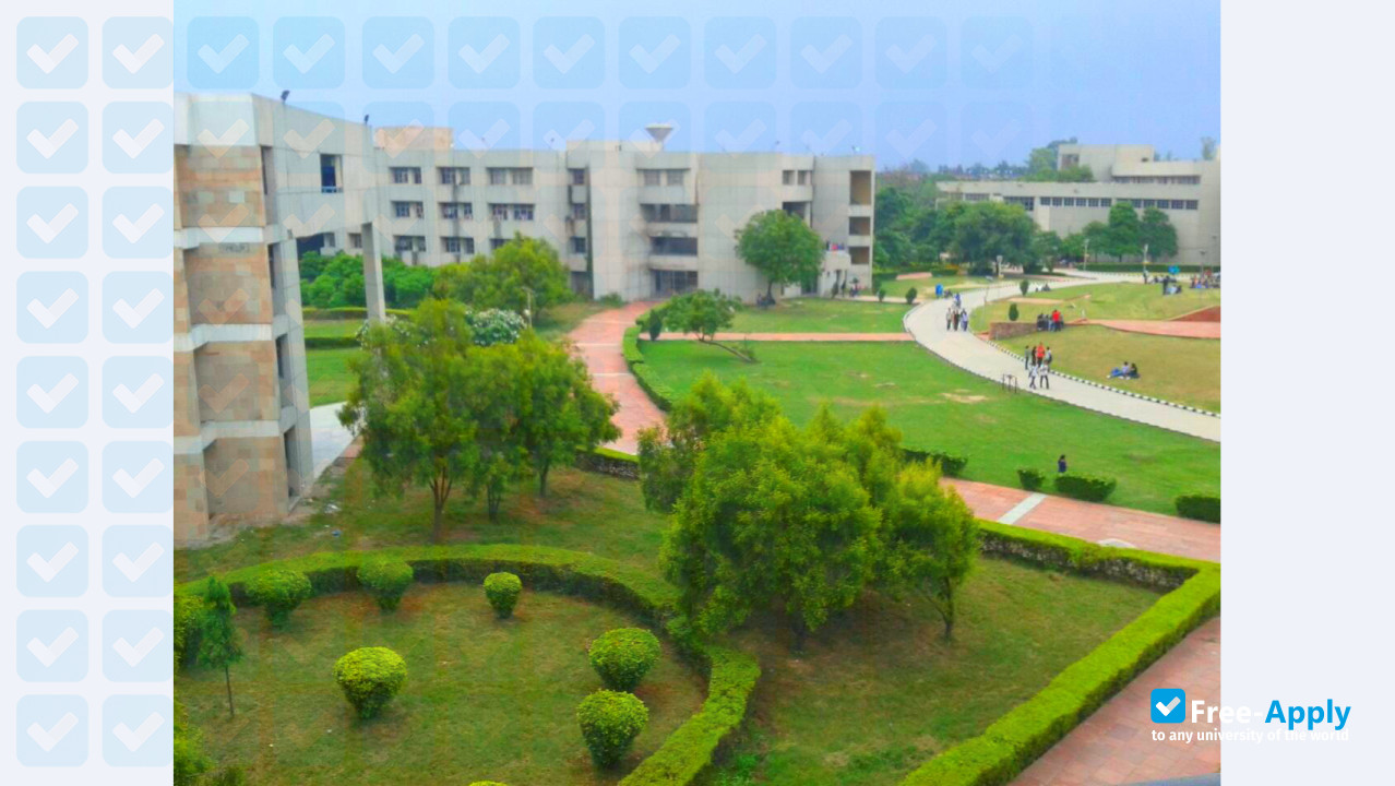 Foto de la Delhi Technological University #8