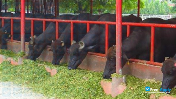 Foto de la National Dairy Research Institute #3