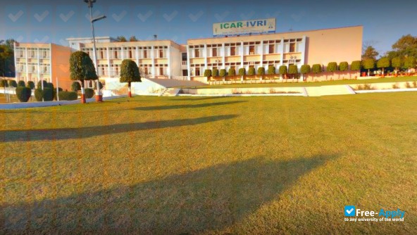 Indian Veterinary Research Institute photo #2