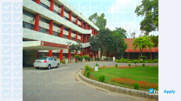 Foto de la CCS Haryana Agricultural University #3