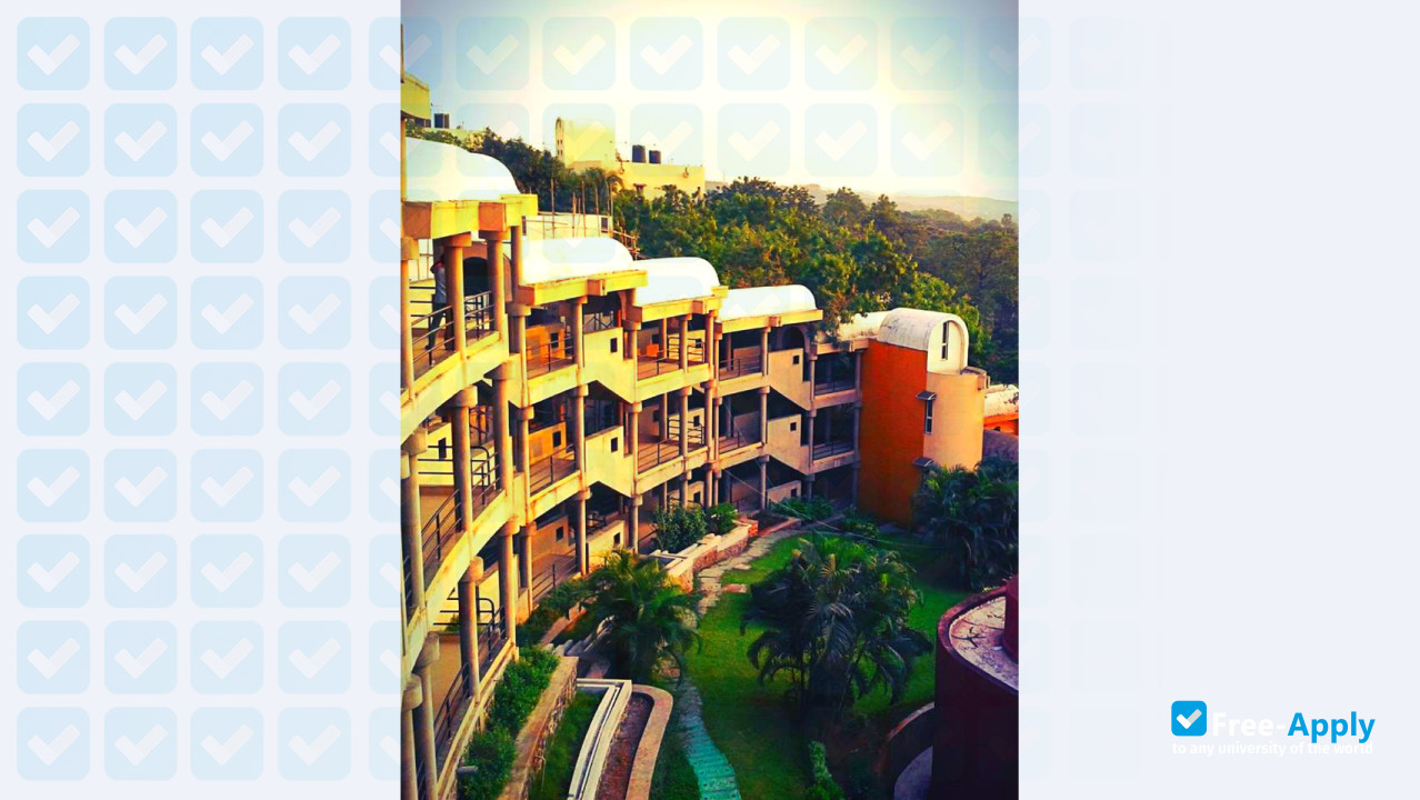 Indira Gandhi Institute of Development and Research photo #5