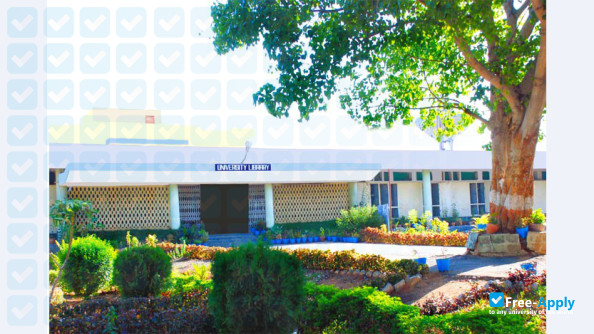 Kakatiya University photo #11