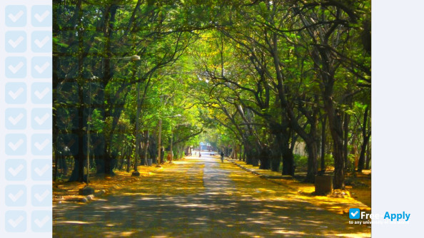 Anna University Madras Institute of Technology photo #11