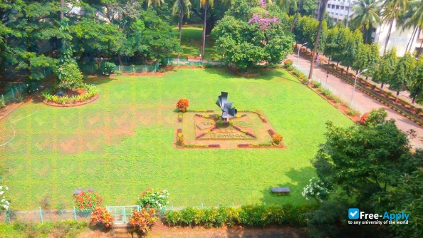 Indian Institute of Technology Bombay photo #10