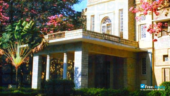 National Institute of Mental Health and Neuro Sciences photo #6