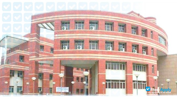 University of Delhi фотография №8