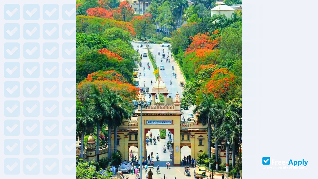 Photo de l’Banaras Hindu University #5