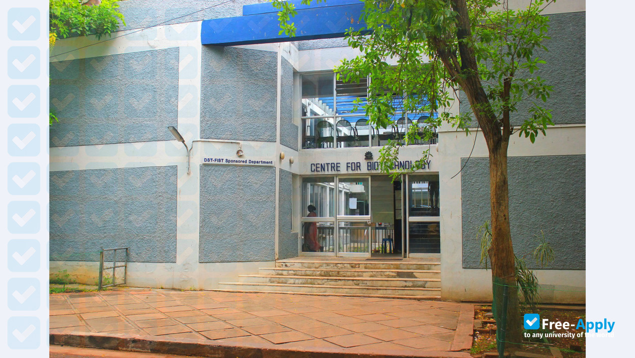 Anna University photo #2