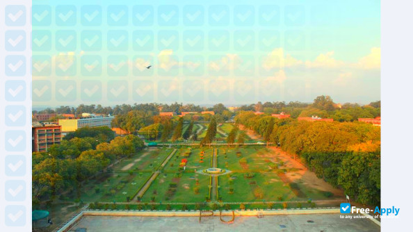 Foto de la Panjab University #7