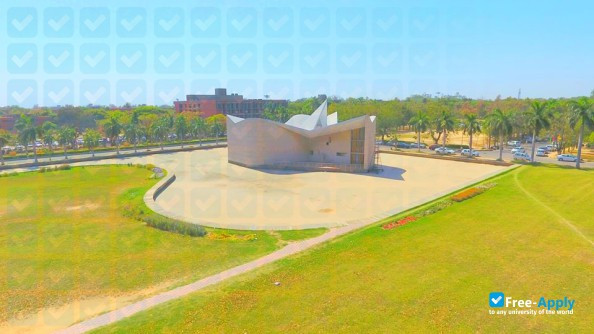 Foto de la Panjab University #4