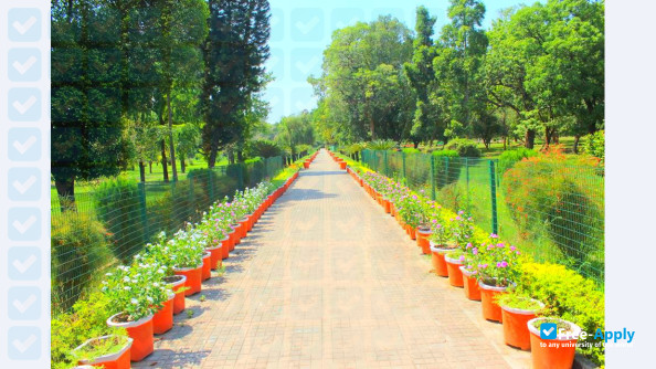 Foto de la Panjab University #1