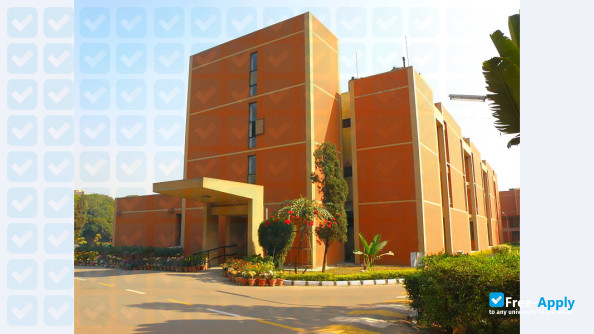 Foto de la Indian Statistical Institute #7