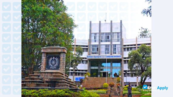 Bangalore University photo #1