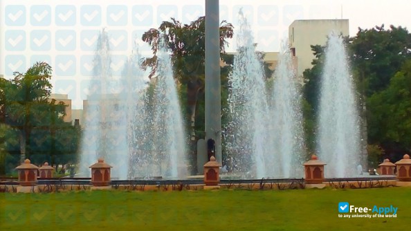 D Y Patil Institute of Engineering Management and Research фотография №4