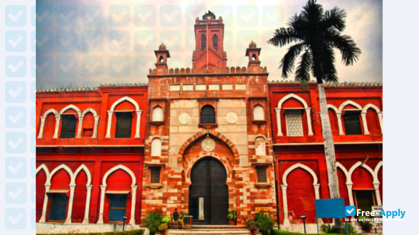 Aligarh Muslim University photo #1