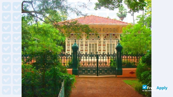 Visva Bharati University photo #4