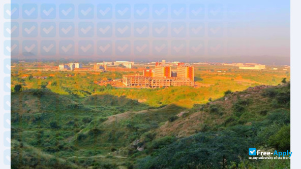 NIIT University photo