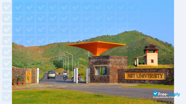 NIIT University photo #1