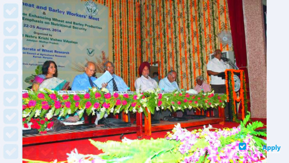 Photo de l’Jawaharlal Nehru Krishi Vishwa Vidyalaya #17