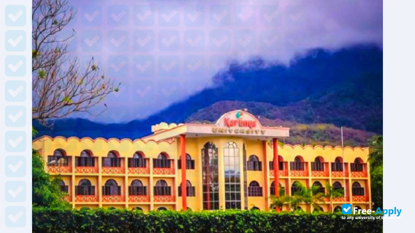 Karunya University photo #4