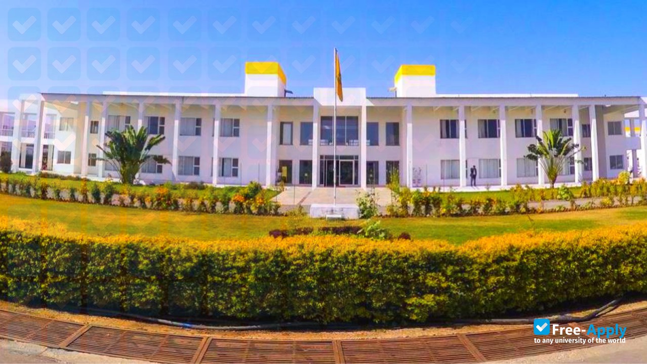 Sir Padampat Singhania University Udaipur фотография №8