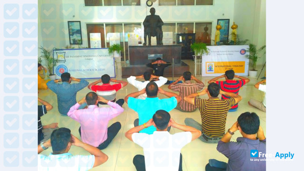 Sir Padampat Singhania University Udaipur photo #3